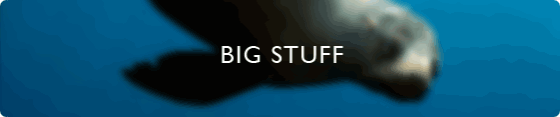 Big Stuff