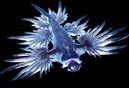 Glaucus Atlanticus