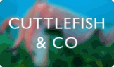 Cuttlefish & Co