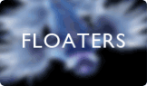 Floaters